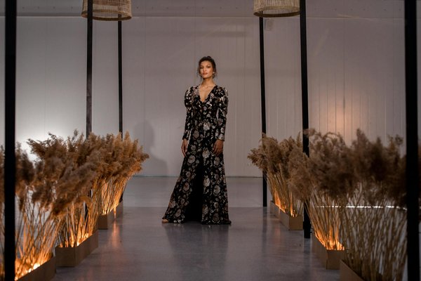 What's the Best Way to Introduce a New Dog to an Aggressive Cat?